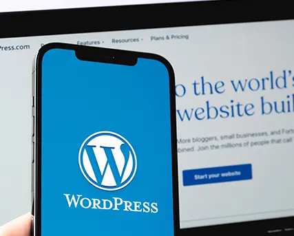 WordPress website